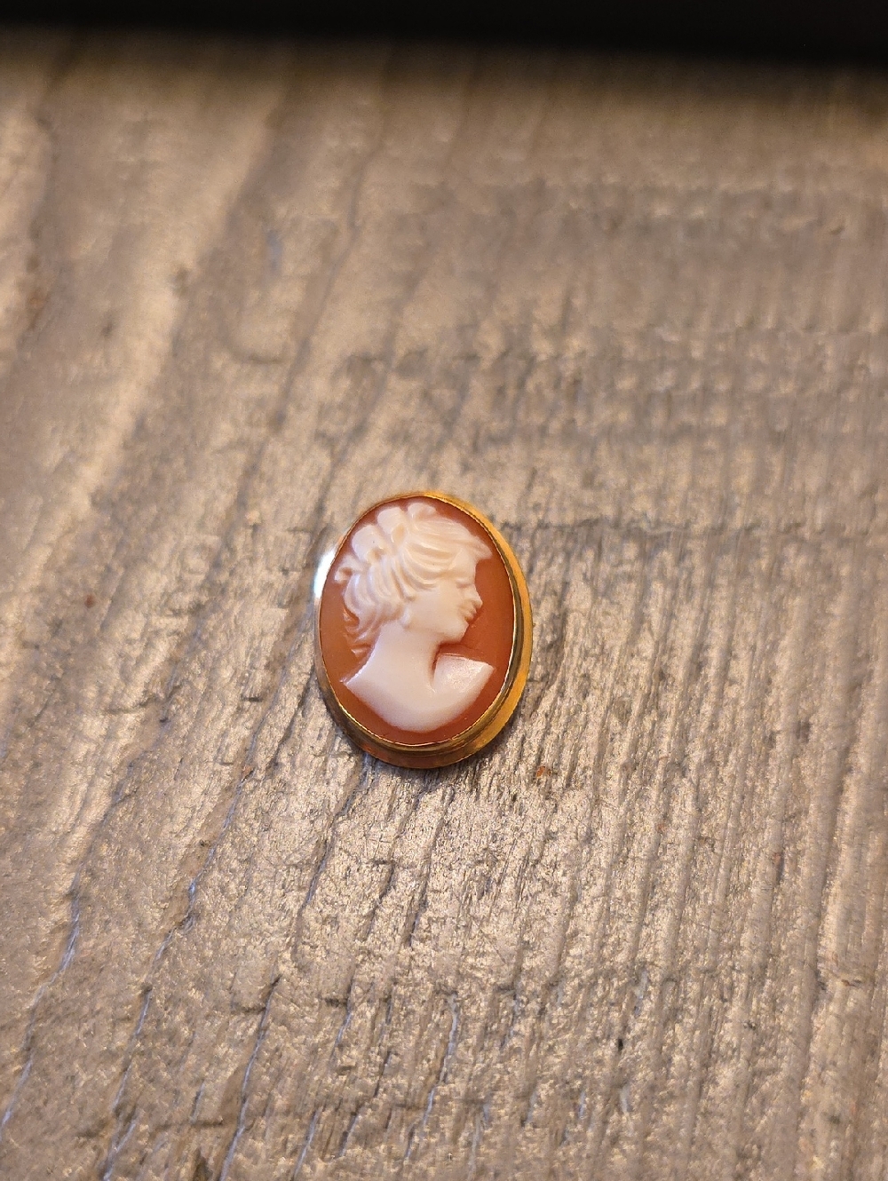 Classic Cameo Pin Brooch in Peach and White with Gold Trim